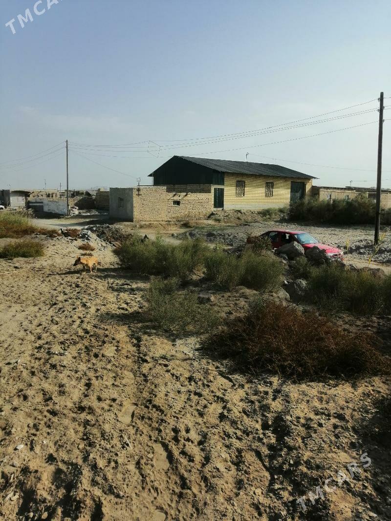 Zaton daça - Türkmenabat - img 1