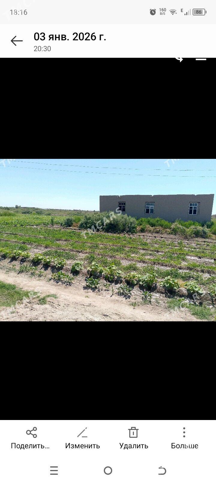 жай - Акдепе - img 1