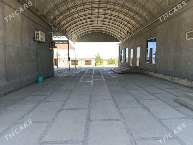 Satlyk howly jay - Мары - img 1