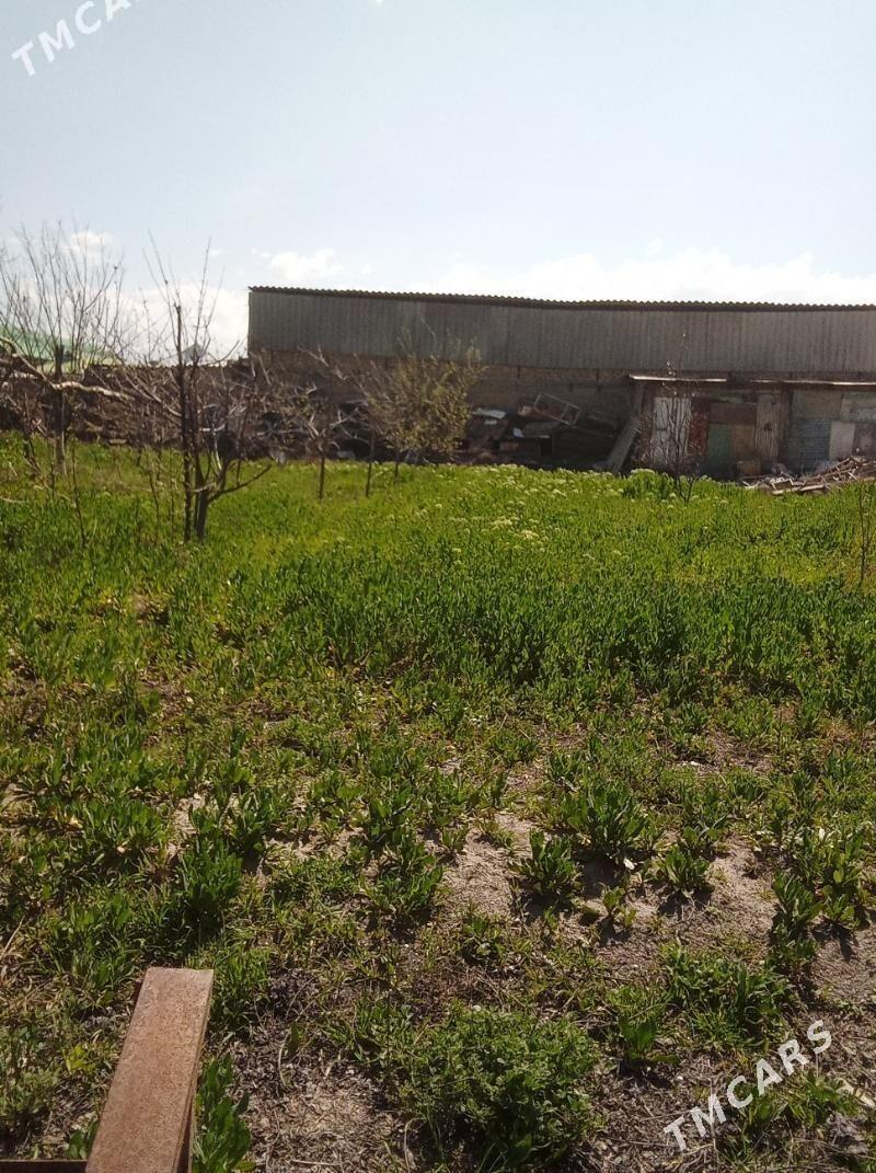 satlyk Gokje - Gökje - img 1