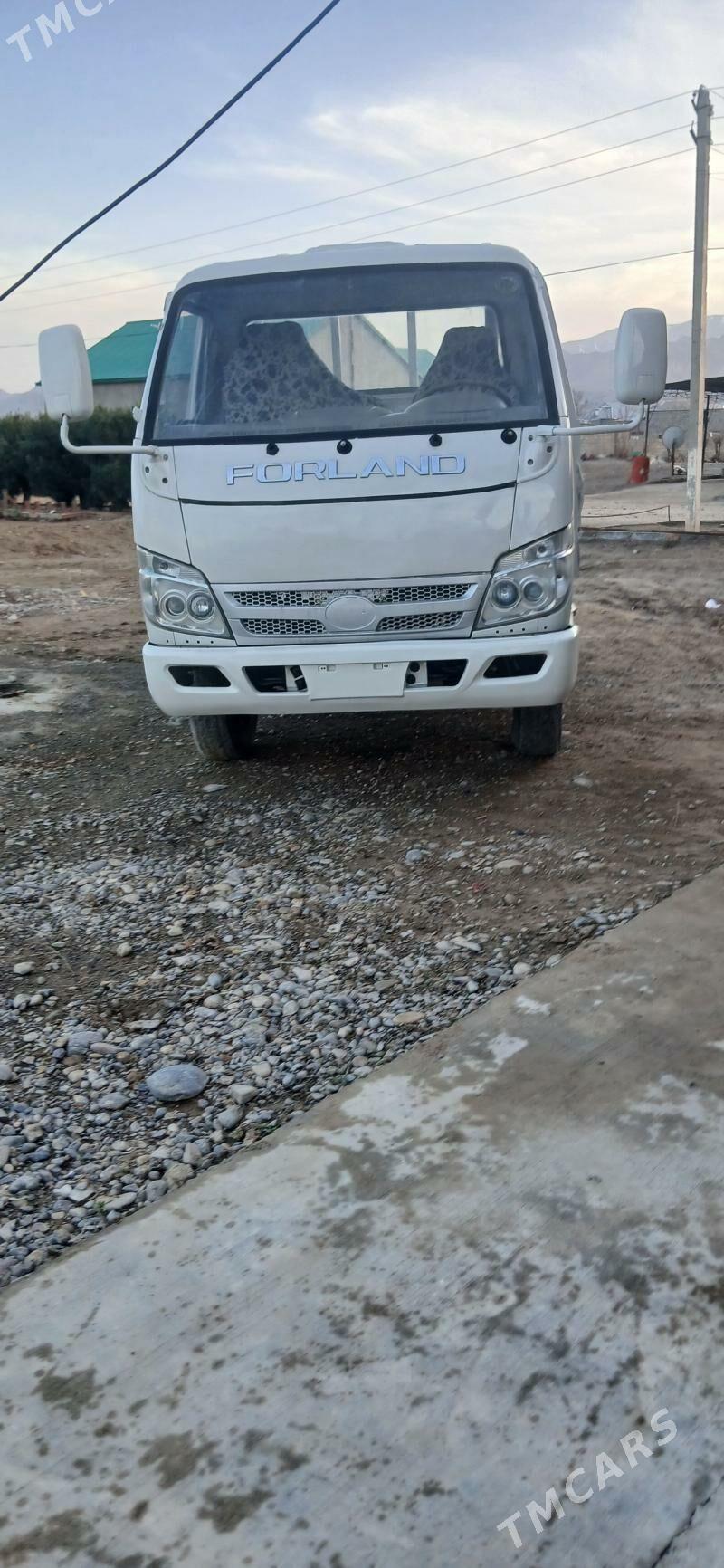 Forland H2 2013 - 120 000 TMT - Ak bugdaý etraby - img 1