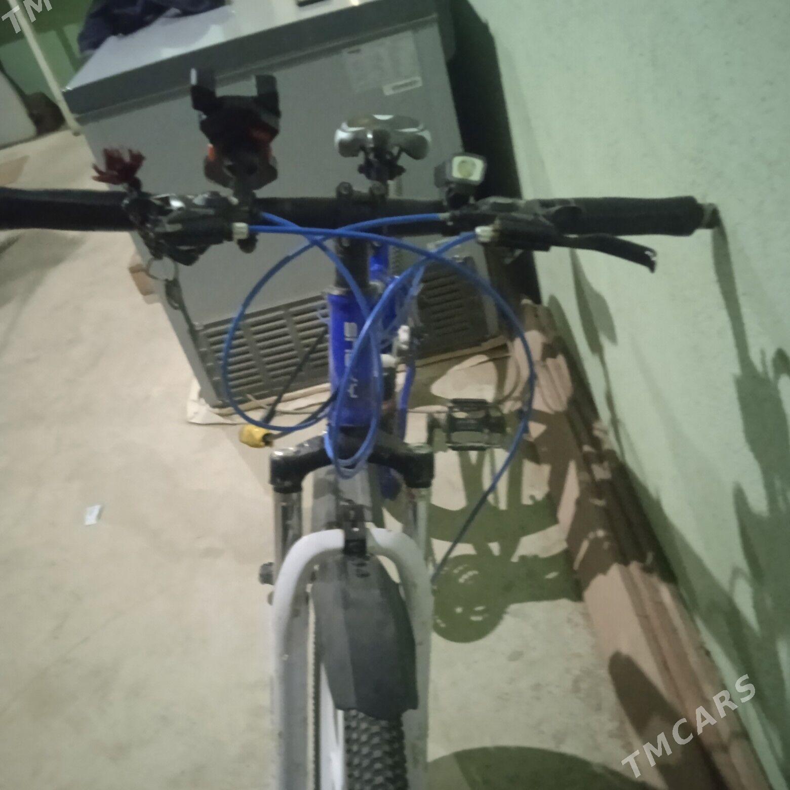 snoki welik - Джебел - img 1