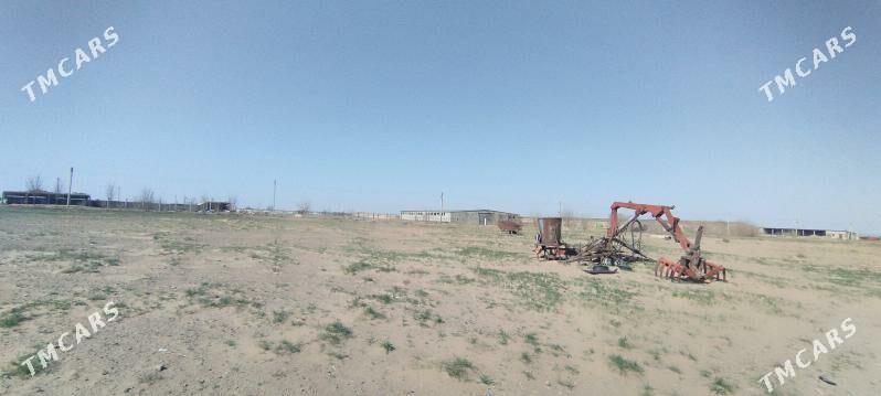 ferma - Ak bugdaý etraby - img 1