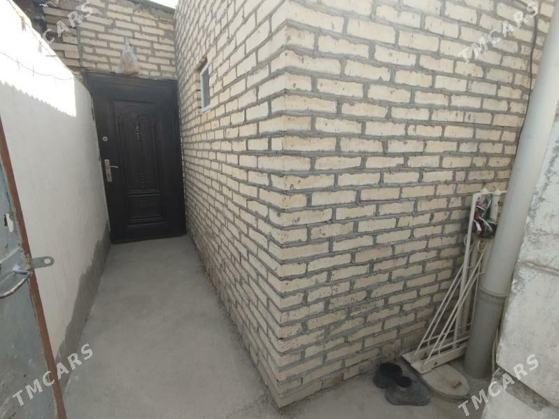 Satlyk jay - Mary - img 1