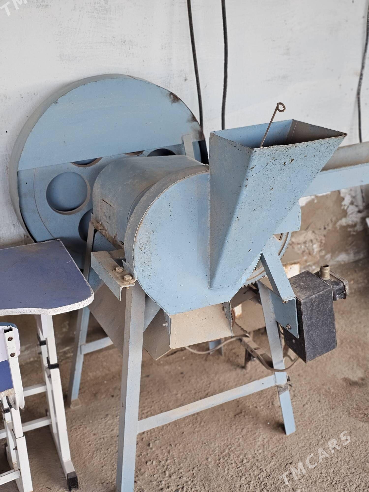 OT ÜWEÝAN STANOK - Mary - img 1