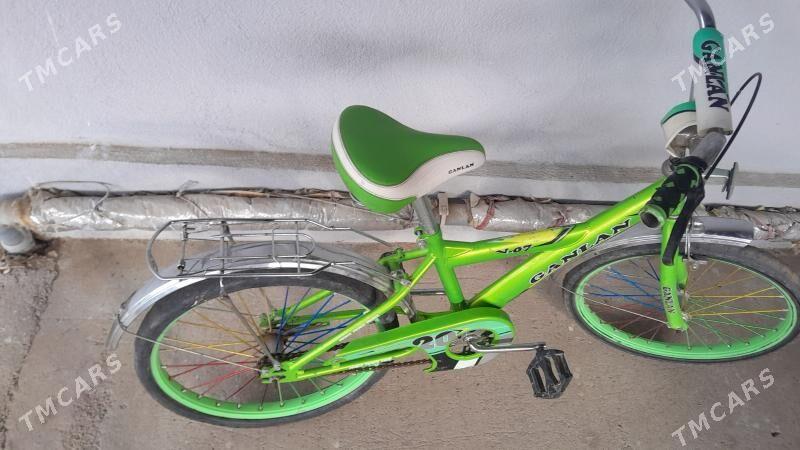 tigir - Änew - img 1