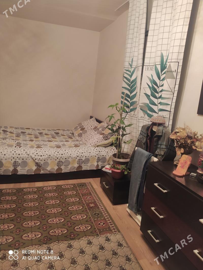 satlyk jay - Tejen - img 1