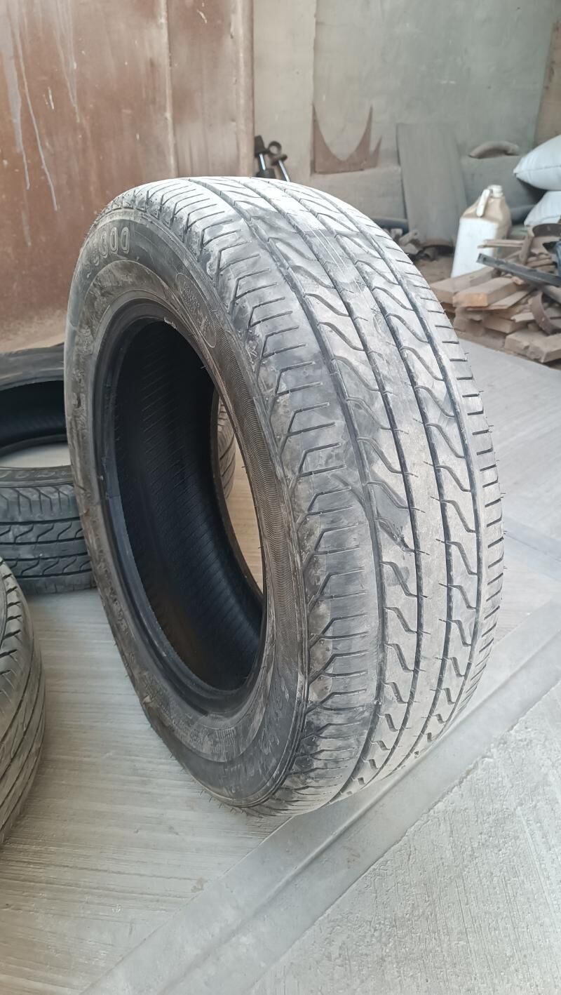 teker 1 000 TMT - Sakarçäge - img 1