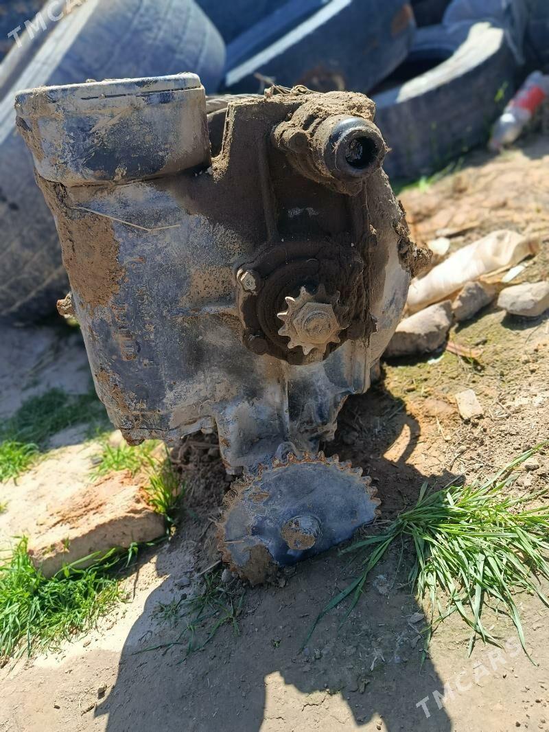 libotka. Либотка - Magtymguly - img 1