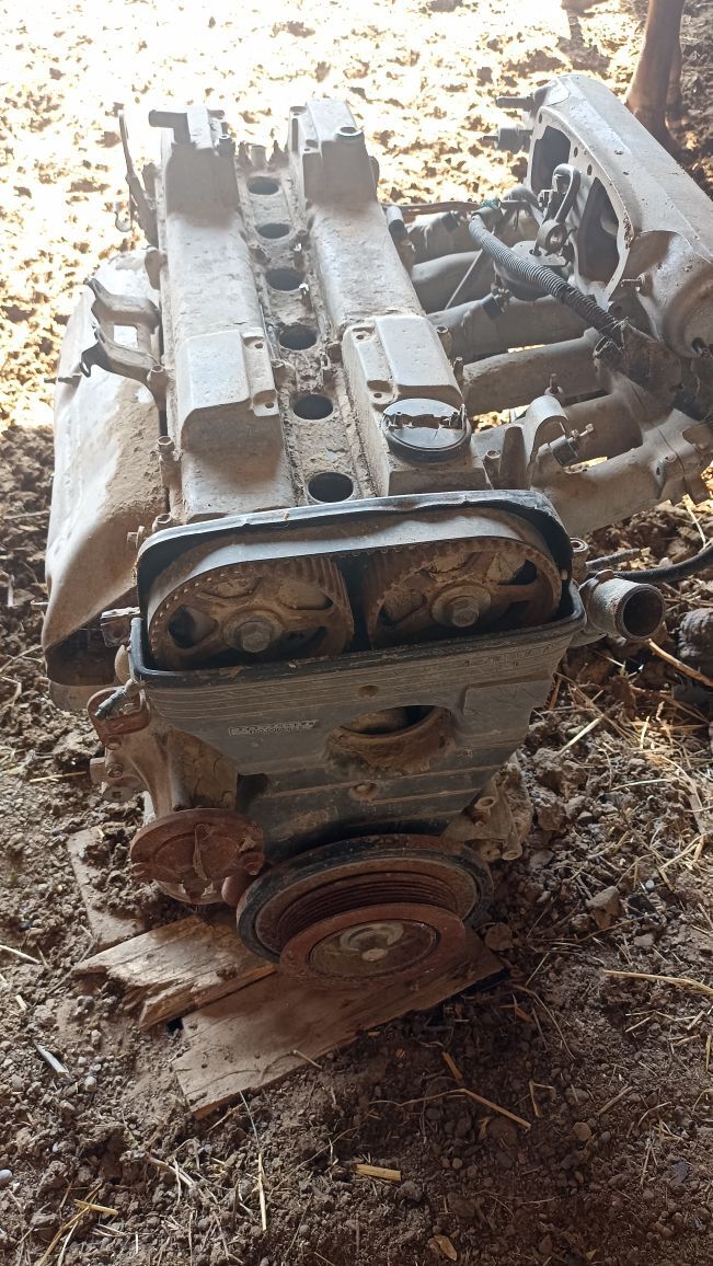 Mark mator 2 900 TMT - Mary - img 1