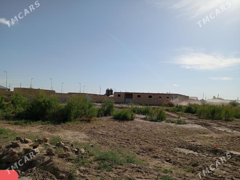 Меллек - Türkmenabat - img 1