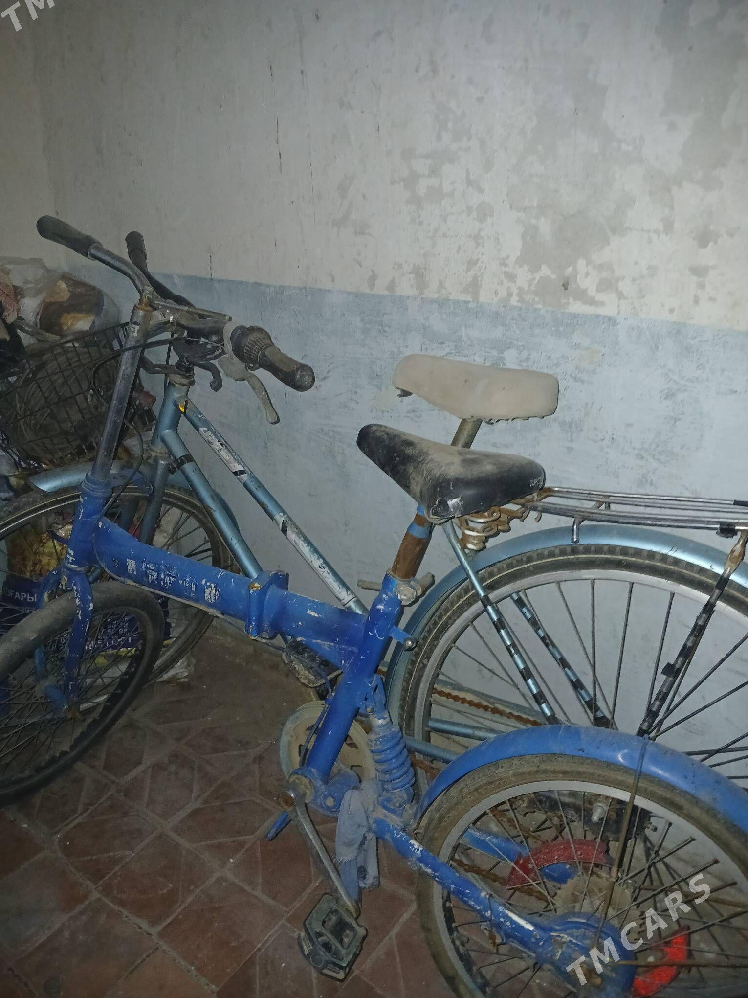 Welosiped - Mary - img 1