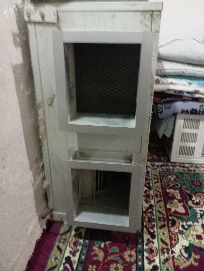 howalanyrma - Ak bugdaý etraby - img 1