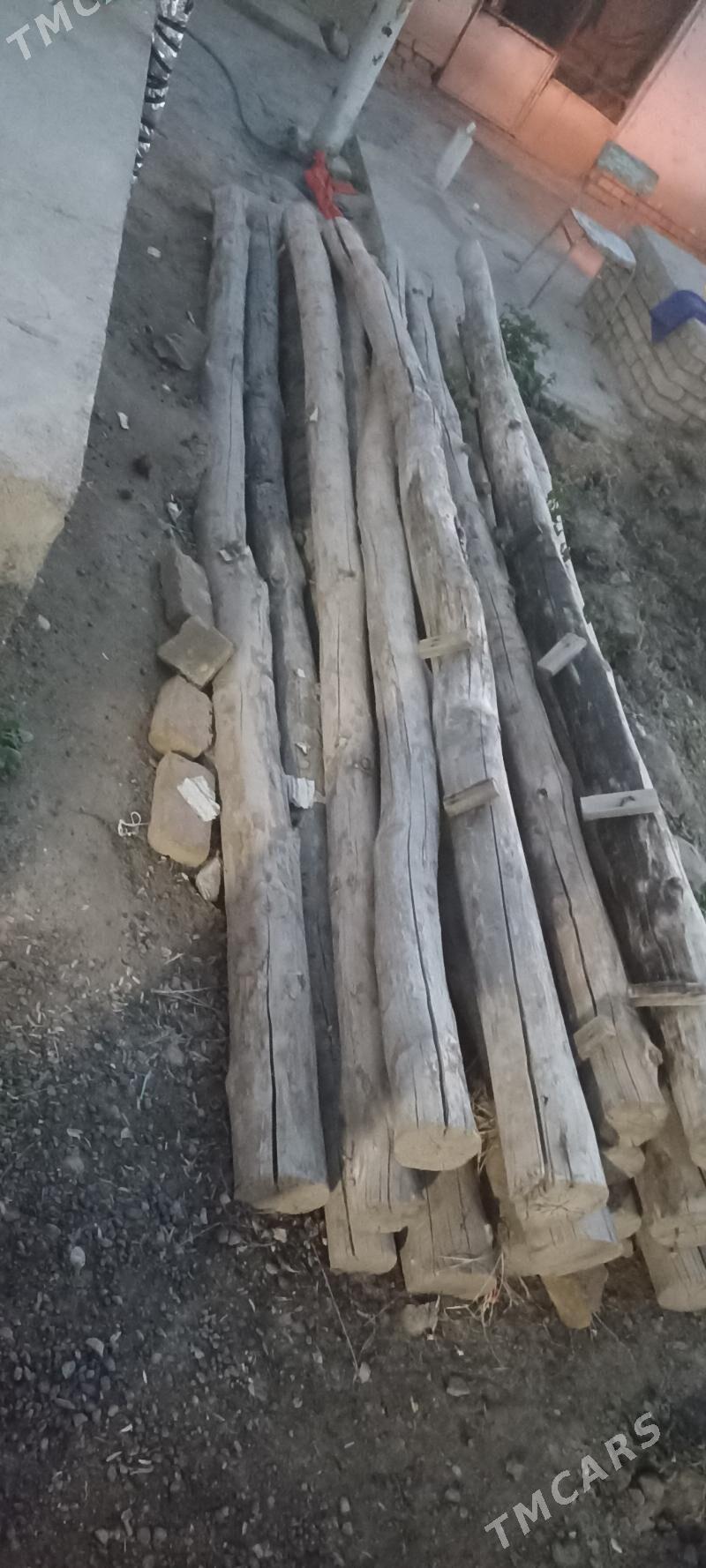 lagelik agac - Мургап - img 1