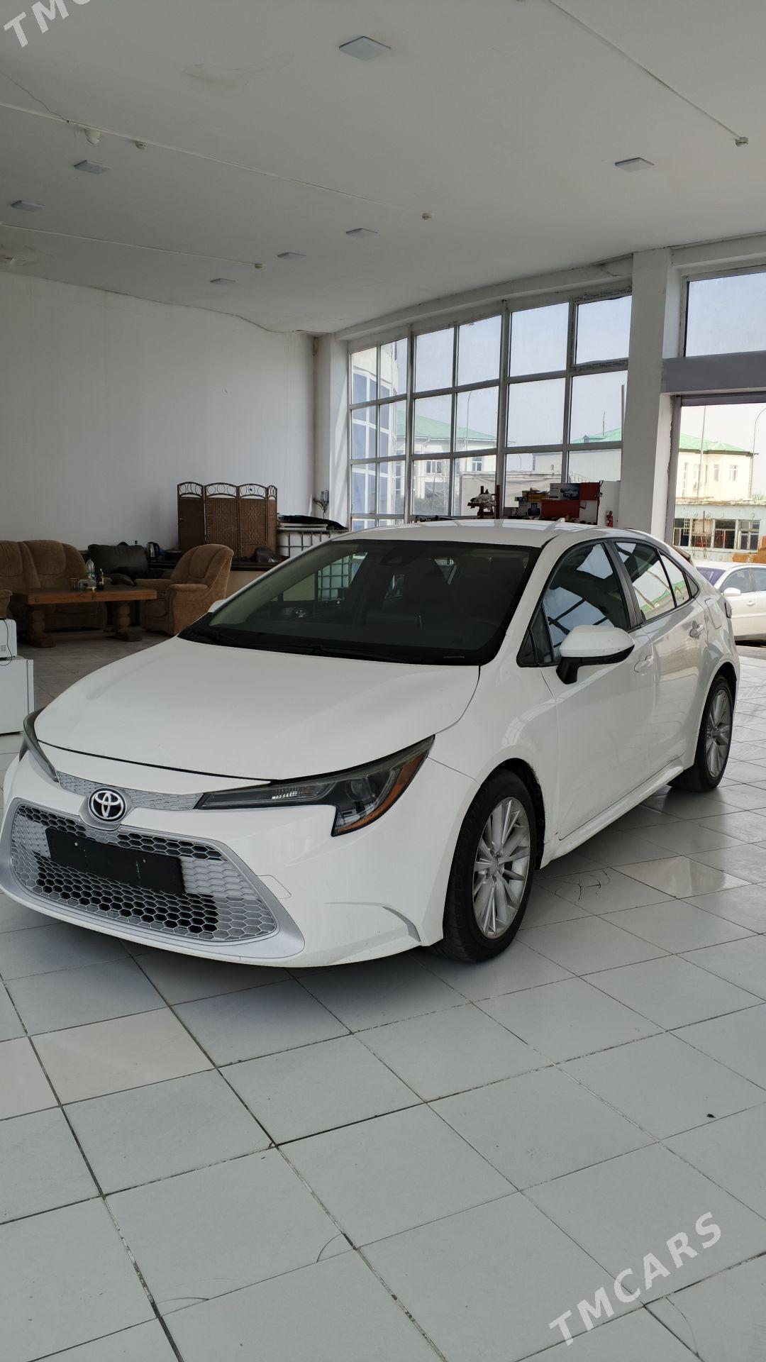 Toyota Corolla 2022 - 240 000 TMT - Daşoguz - img 1