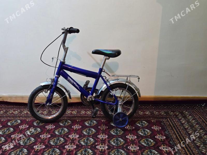 çaga tigirler - Гаудан "Б" - img 1