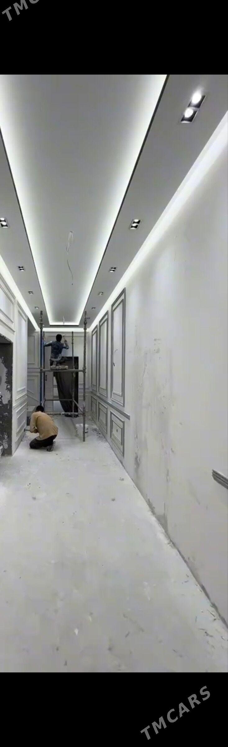 Alcipan patolok - Яшлык - img 1