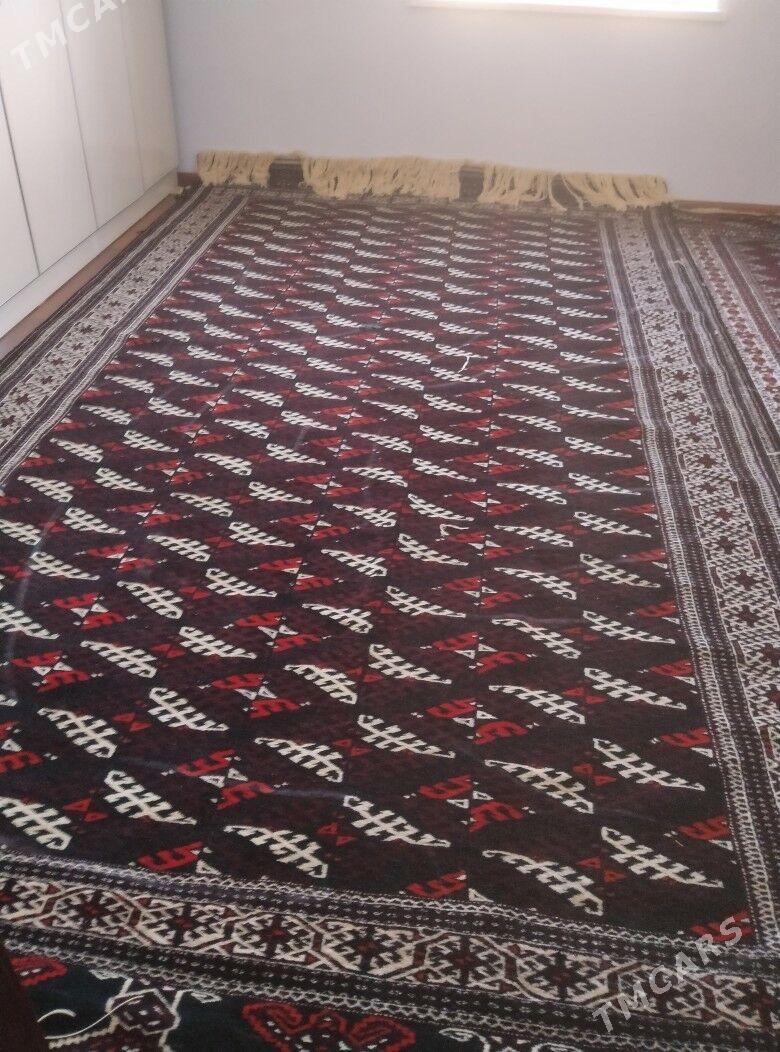 Gara haly ,Teke gölli, Palas - Гумдаг - img 1