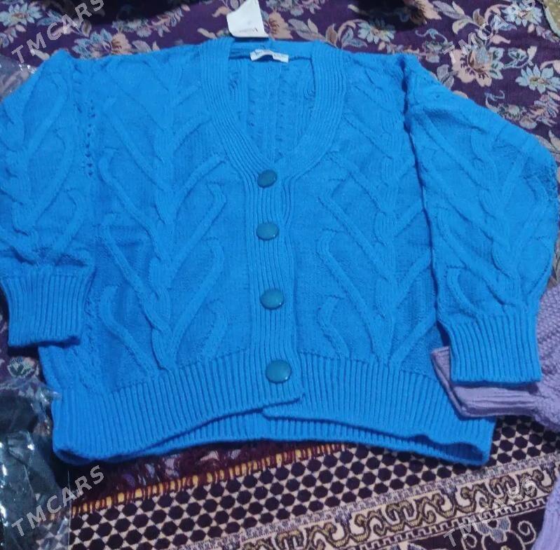 Sempir - Gyzylarbat - img 1