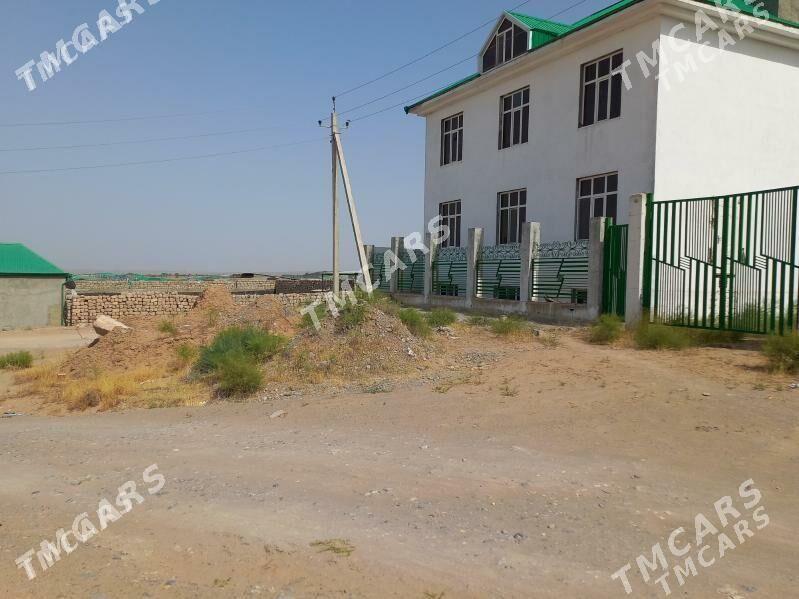 Anew kotej - Änew - img 1