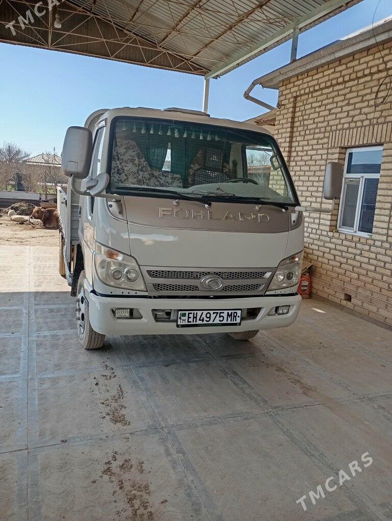 Forland H2 2015 - 140 000 TMT - Мары - img 1