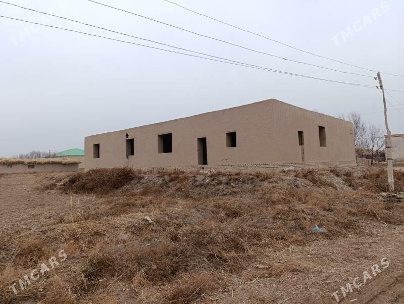 Doly bitmedik jay - Гороглы (Тагта) - img 1