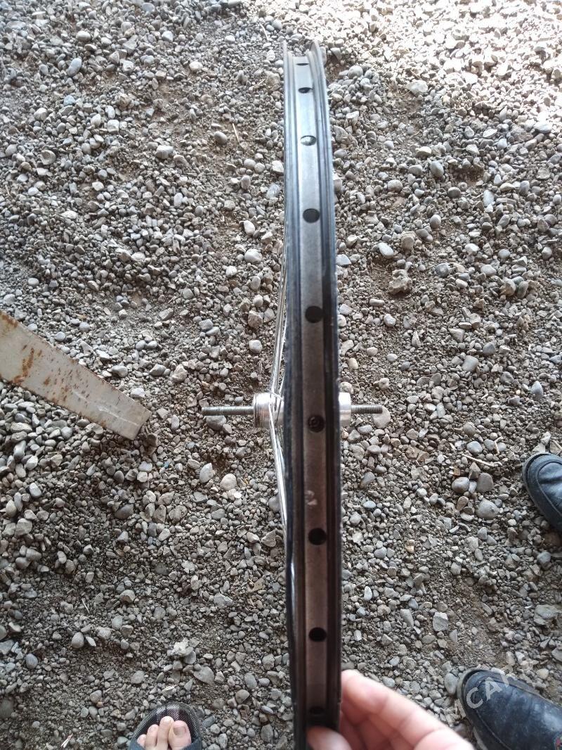 Zapjas tigir we disga - Теджен - img 1