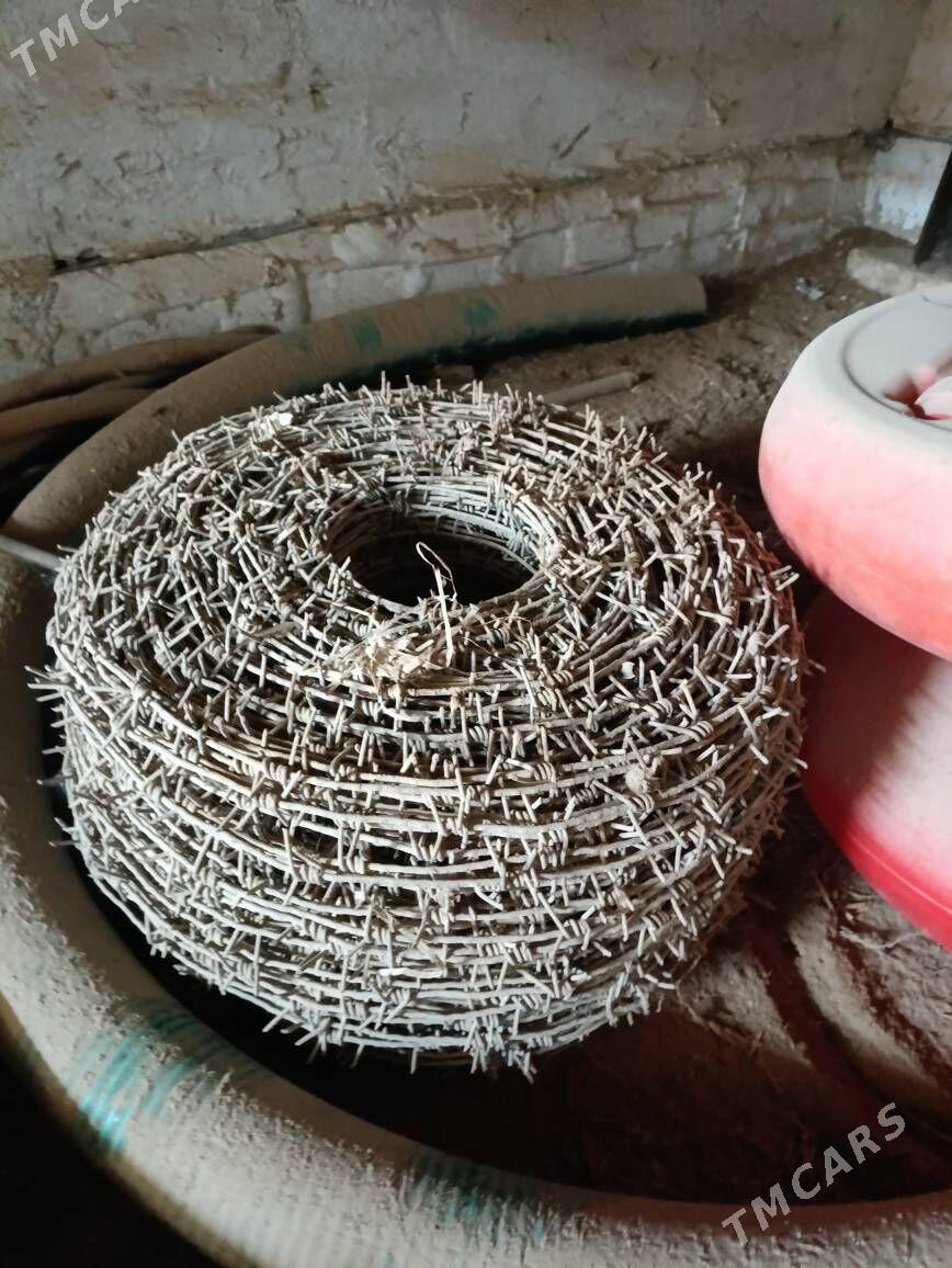 Tikenek sim - Murgap - img 1