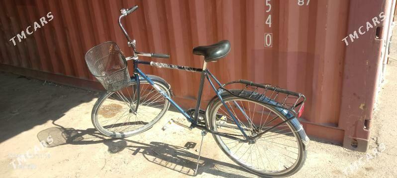 tigir - Boldumsaz - img 1