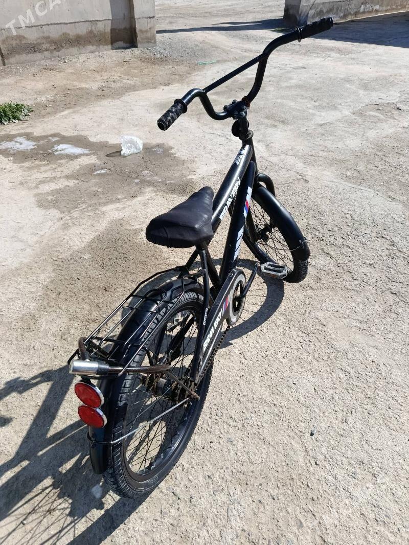 tigir - Gökdepe - img 1