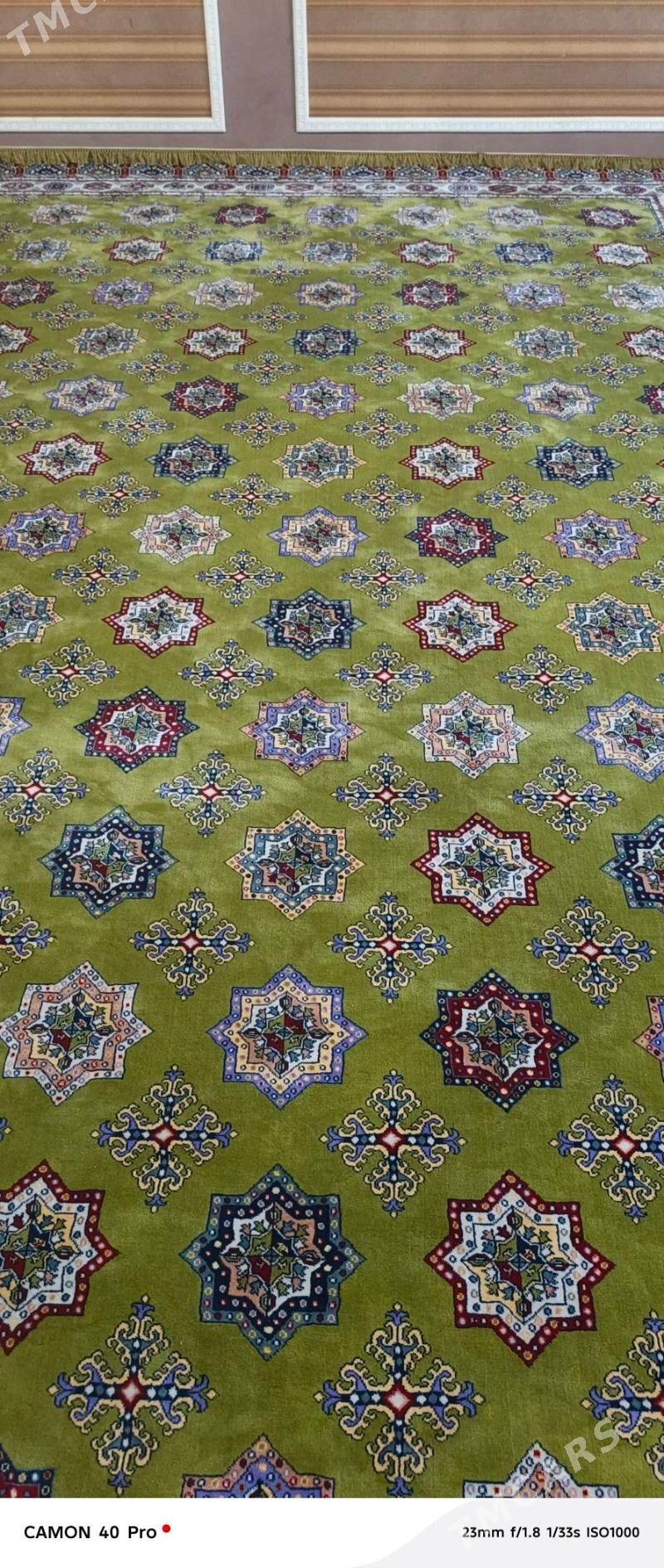 Haly - Gyzylarbat - img 1