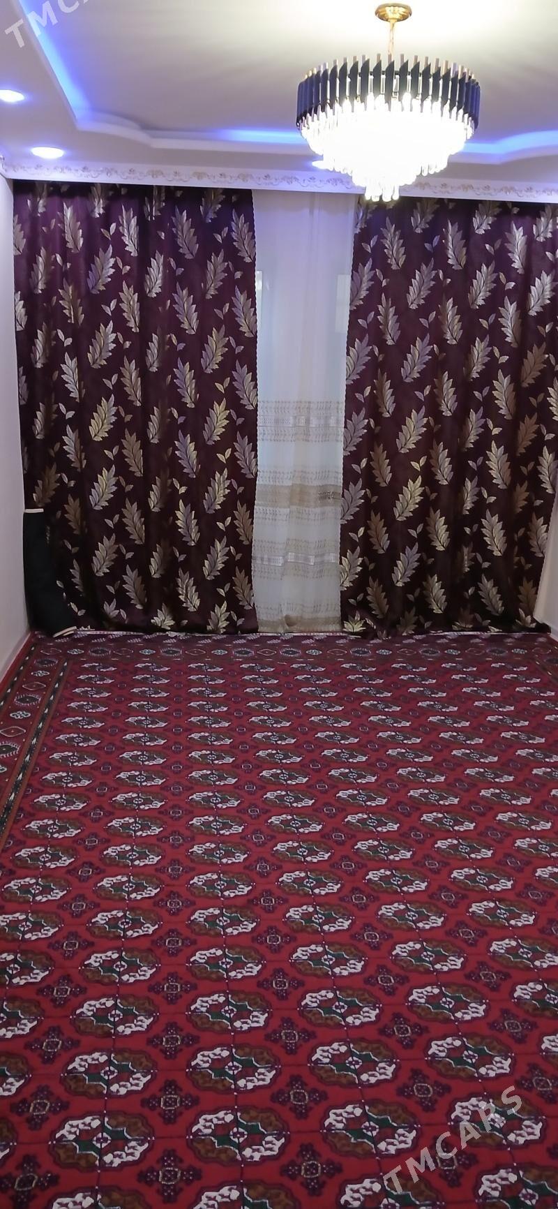 haly - Мир 2 - img 1