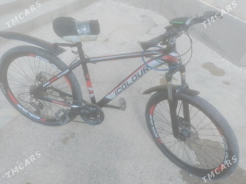 tigir - Tejen - img 1