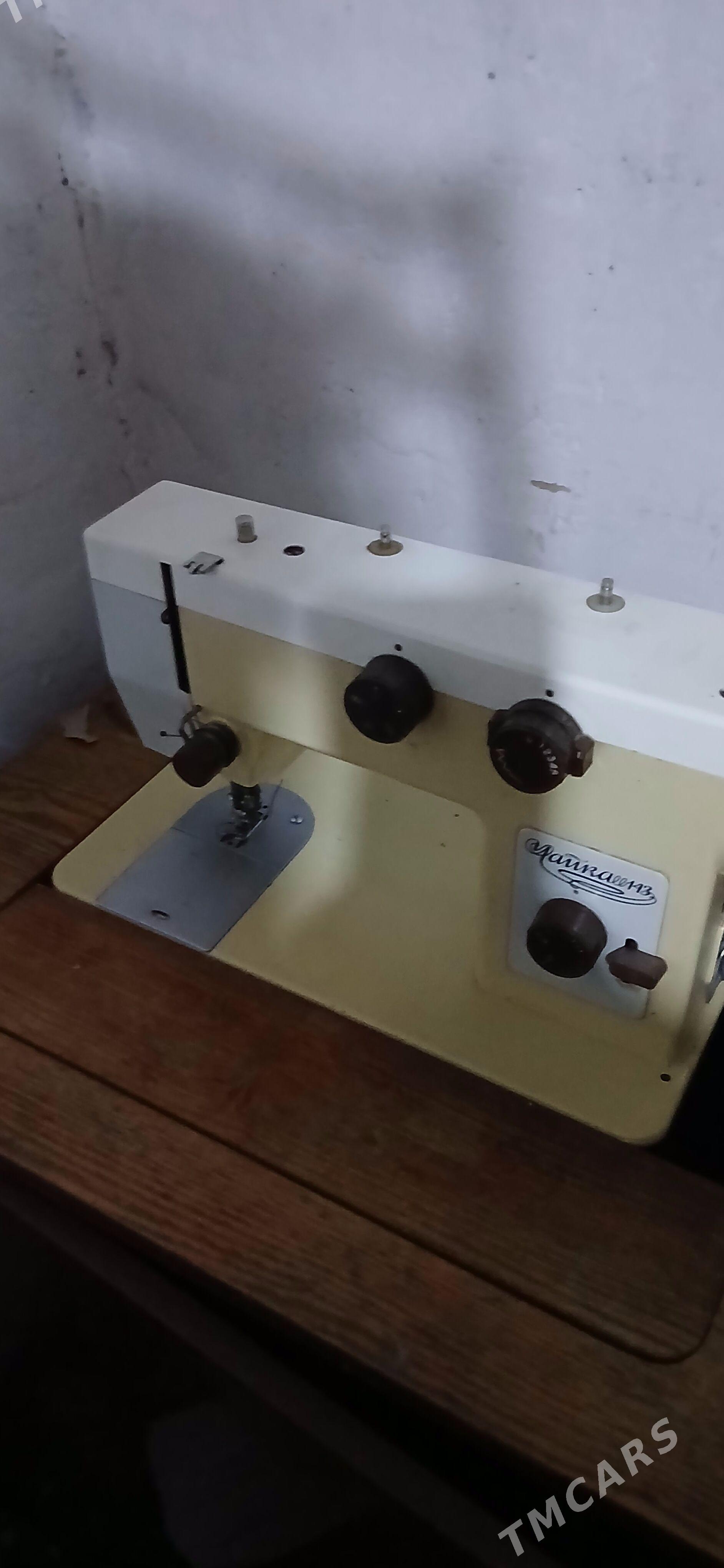 dikin masyn cayka - Кëши - img 1