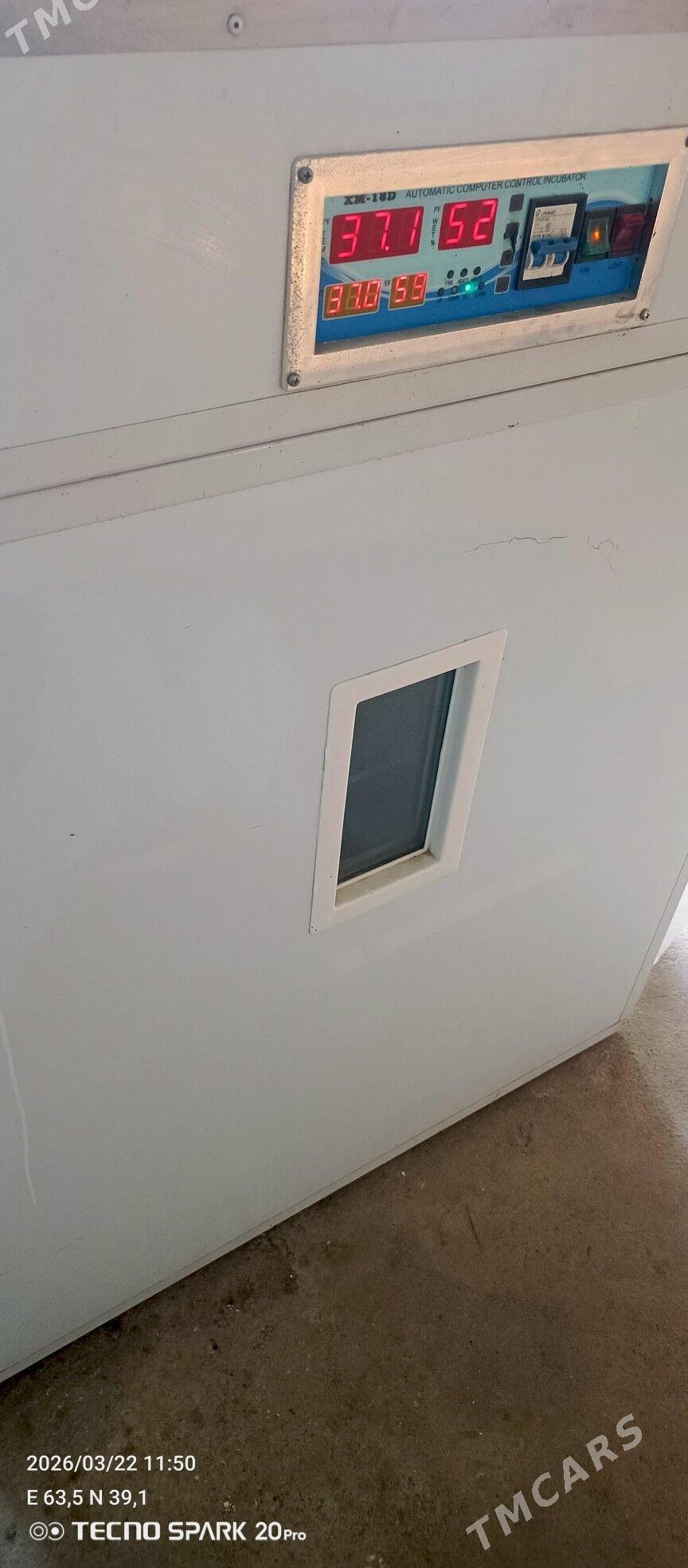 zawodskoy inkubator - Туркменабат - img 1