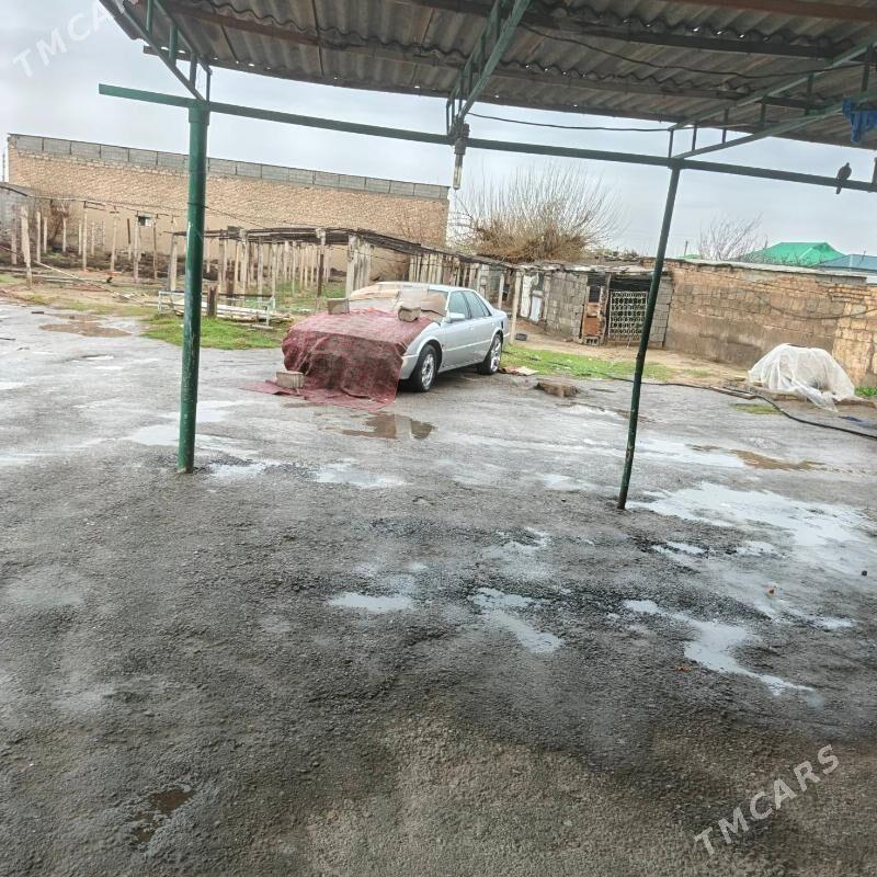 melek - Aşgabat - img 1