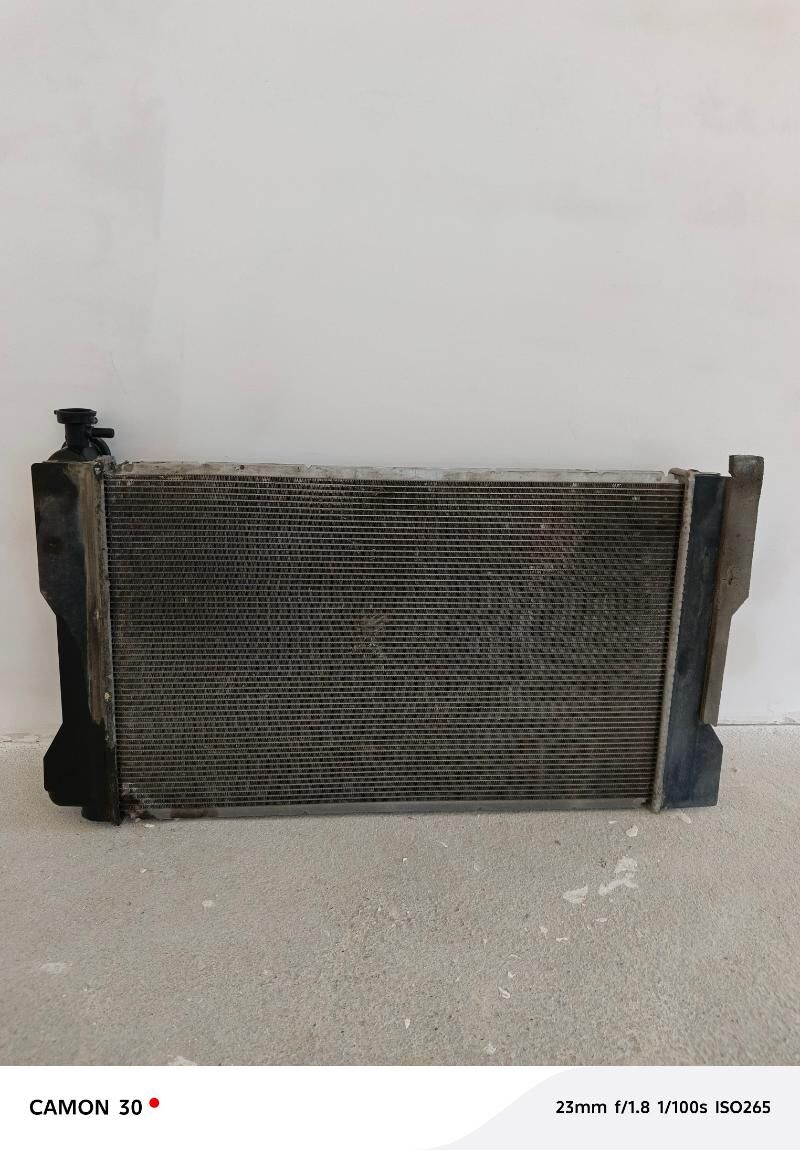 Radyatyr 750 TMT - Багир - img 1