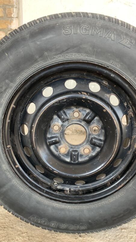 Diska ( Gansak ) 520 TMT - Halaç - img 1