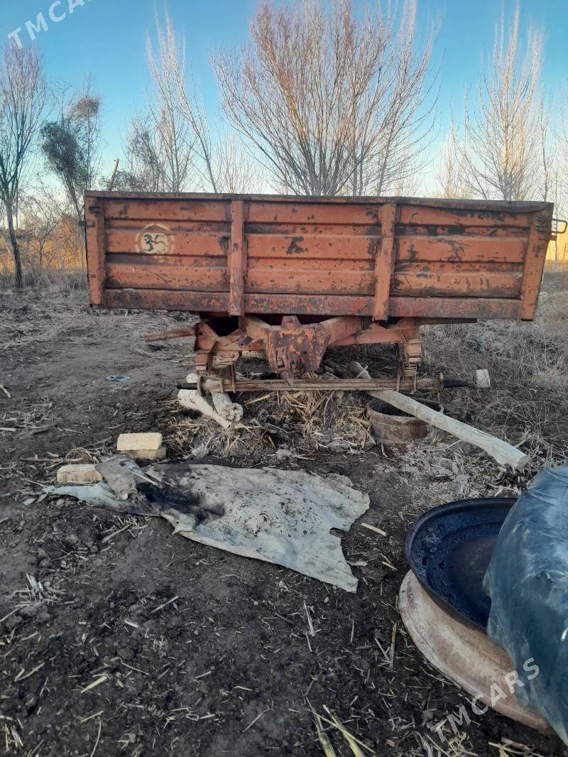 MTZ 82 1988 - 5 000 TMT - Köneürgenç - img 1