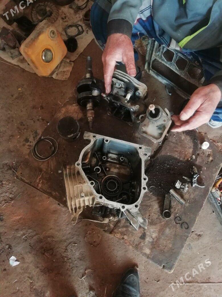 nasoz - Daşoguz - img 1