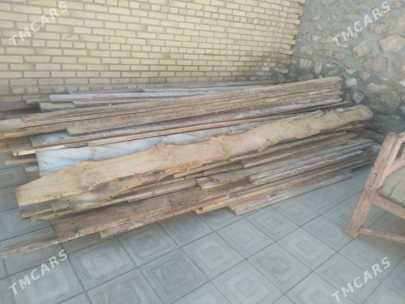 polyk agaçlar - Kerki - img 1