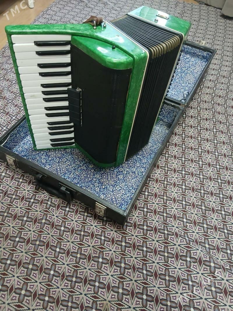 Akardion - Мары - img 1