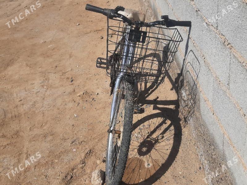 tigir - Tejen - img 1