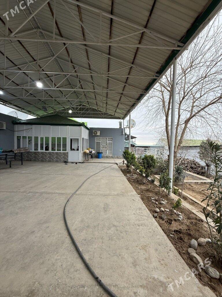 Köşi baÿ oba 8 sotok plan jaÿ - Köşi - img 1