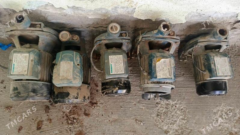 насос - Daşoguz - img 1