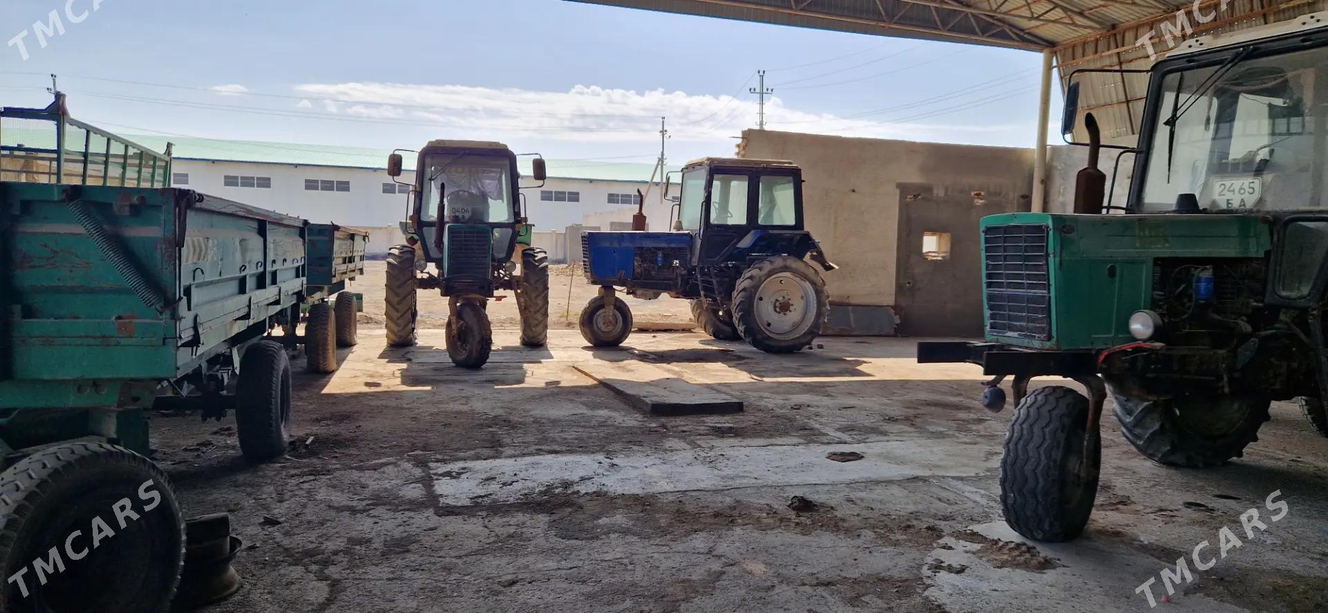 Belarus 80.1 2010 - 110 000 TMT - Mary - img 1