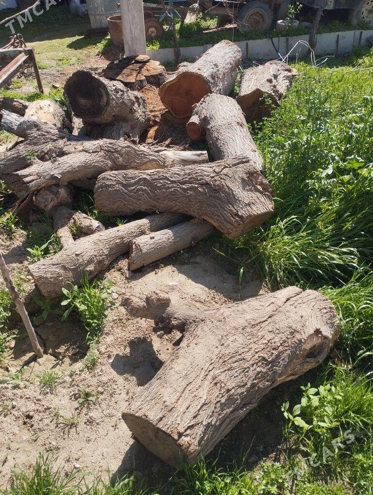 tonne - Анев - img 1