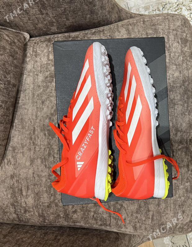 Сороконожки - Ашхабад - img 1