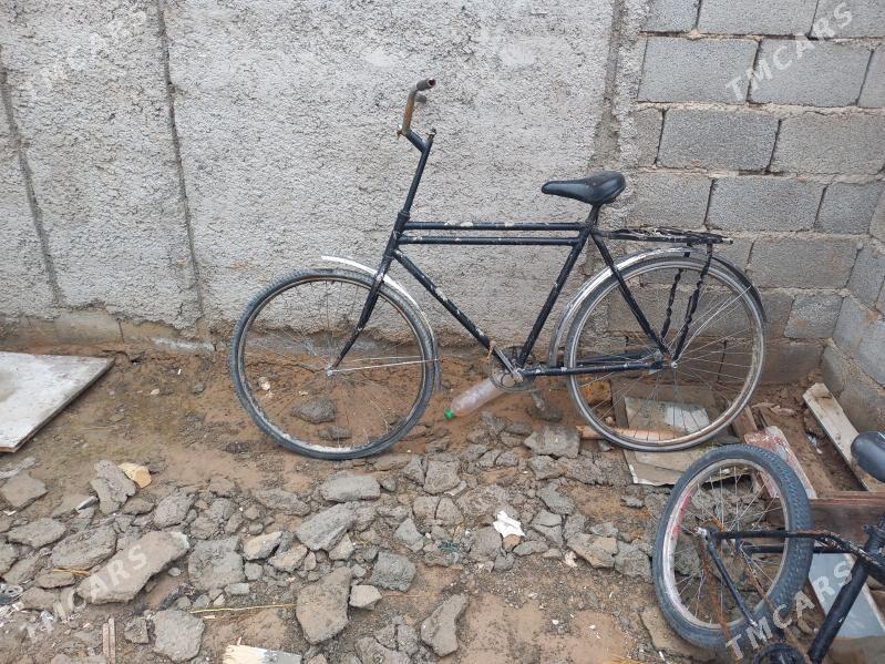 tigir - Kaka - img 1