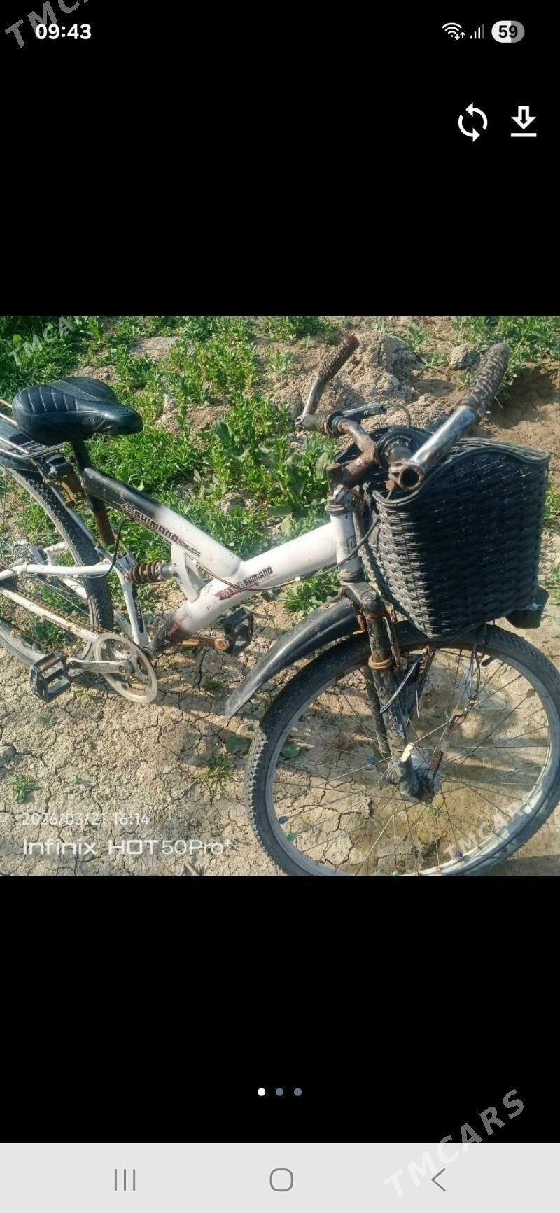 spartiwny welik - Mary - img 1